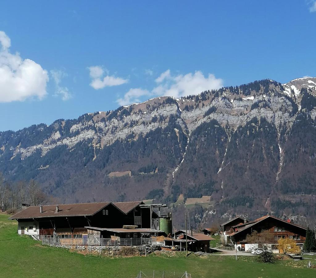 Brunners Harzerhof Lägenhet Iseltwald Exteriör bild